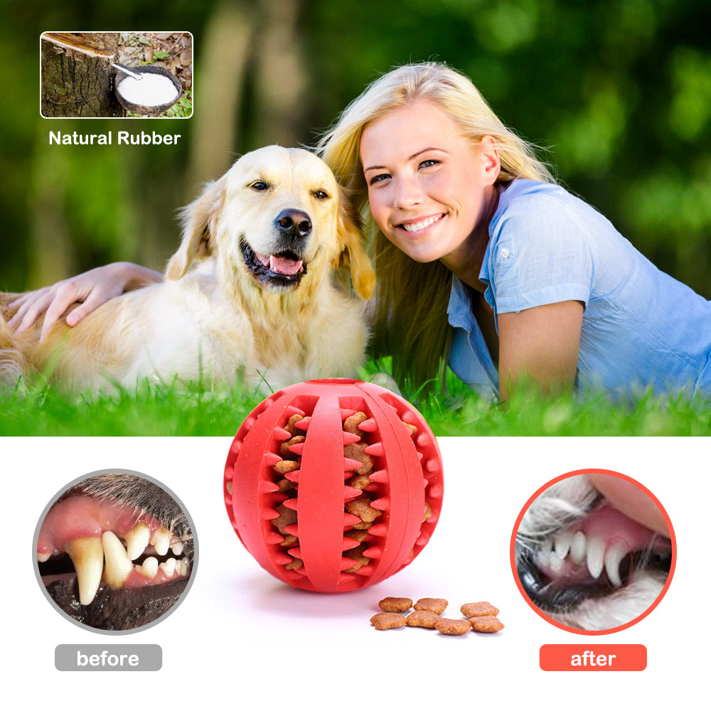 Pet Interactive Dog Toy Rubber Balls