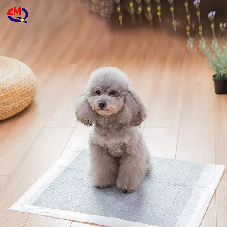 Pet Training Dog Toilet Pad