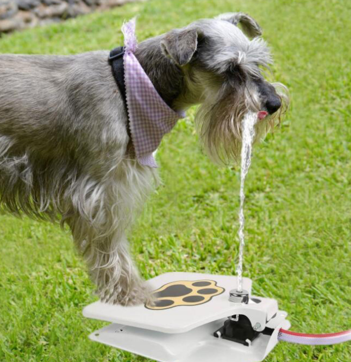 Pet drinking fountain