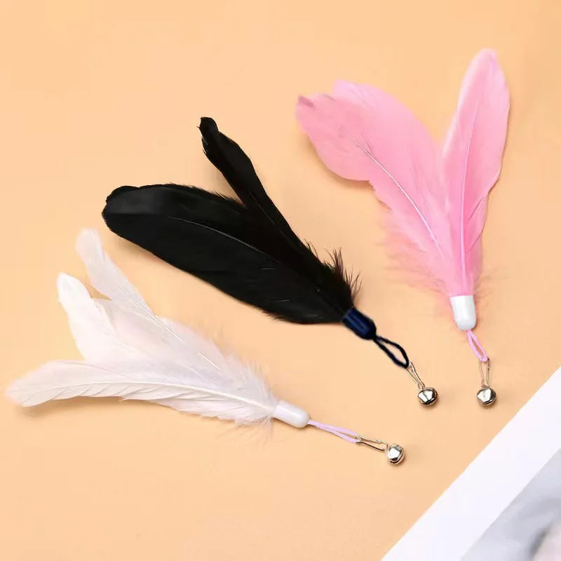 Cats Toys Feathers