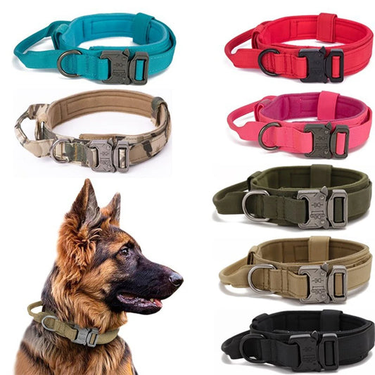 Pet Dog Collar Leash Set