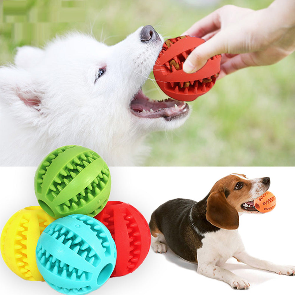 Pet Interactive Dog Toy Rubber Balls