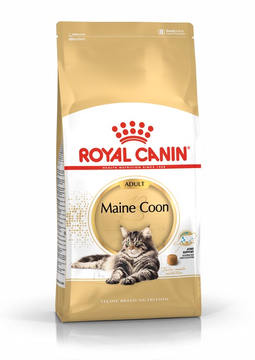 Royal Canin Maine Coon