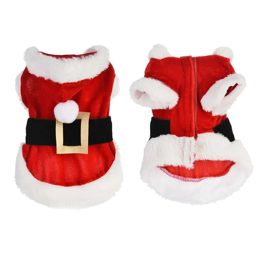 Pet+ presents Santa Pet Outfit | Pet Apparel | Pet Fashion | Pet Clothing